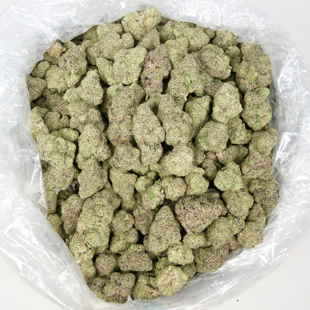 Forbidden Runtz Indoor