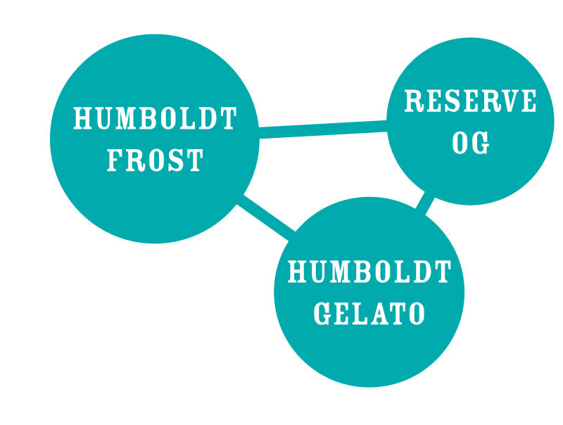 The Bling Feminized Seeds