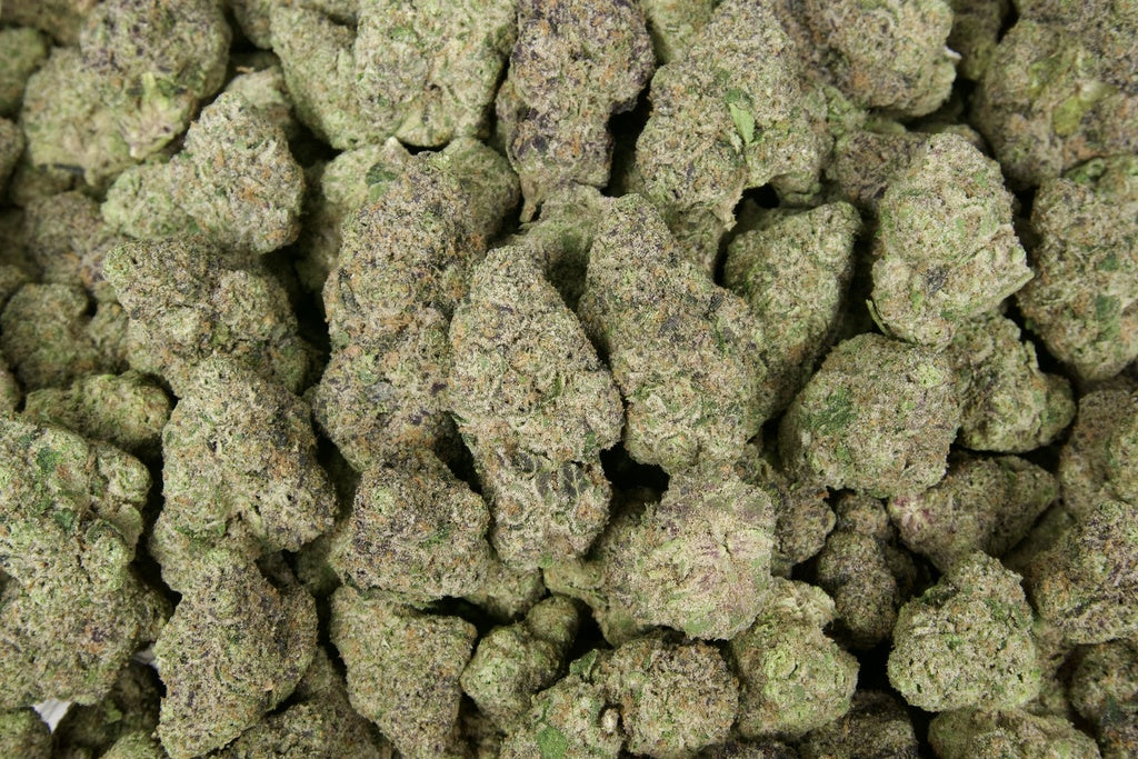 Forbidden Runtz Indoor