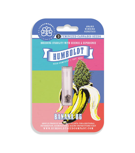 Banana OG Feminized Seeds
