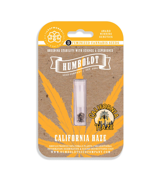 California Haze Feminized Seeds