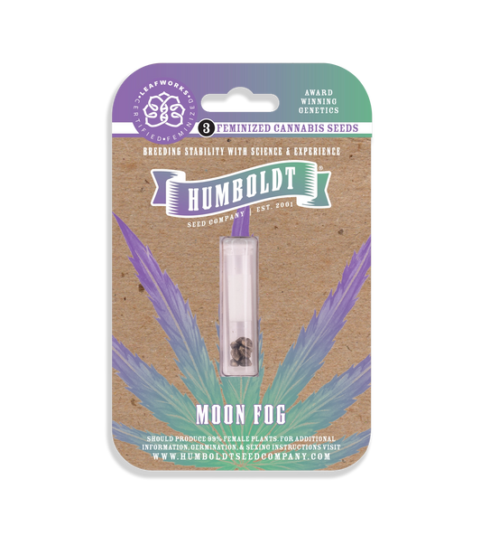 Moon Fog Feminized Seeds