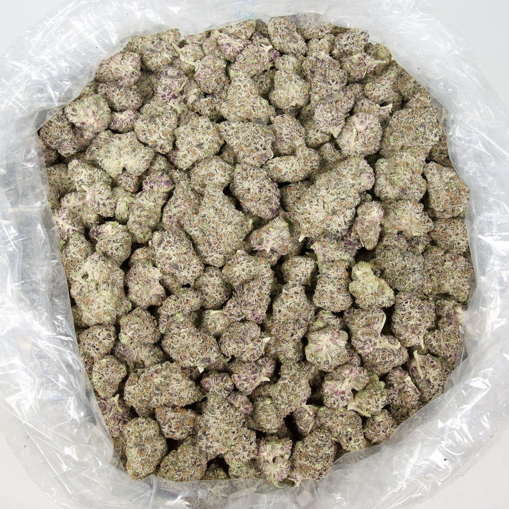 White Truffle Indoor