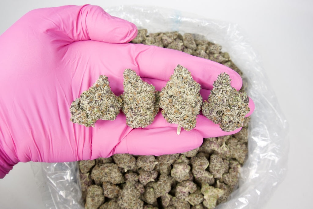 White Truffle Indoor