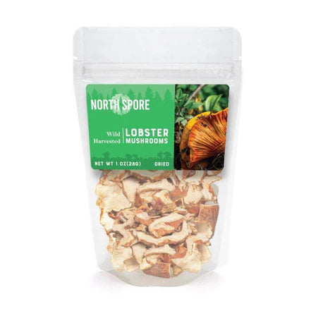 Dried Wild Lobster Mushrooms ( 5 PACK )