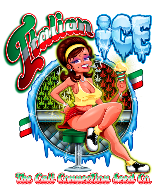 Italian Ice