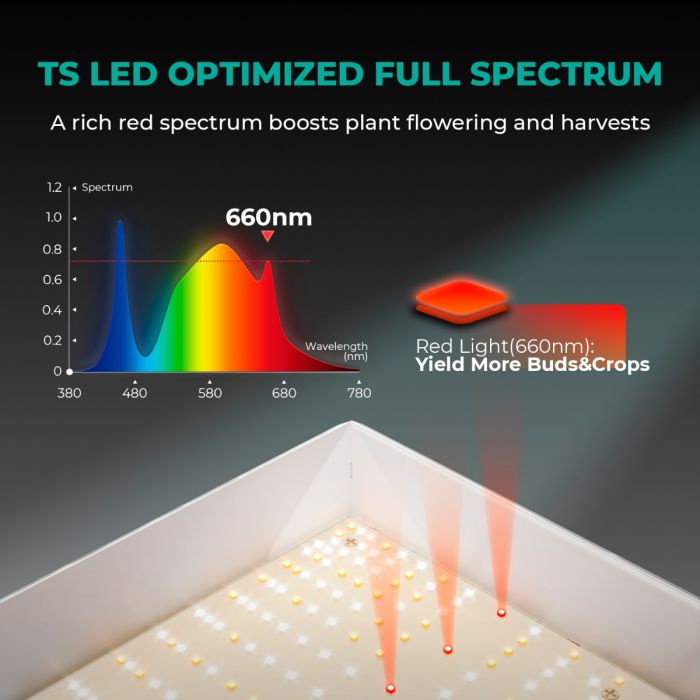 【TOP SELL FOR BEGINNERS】Mars Hydro TS 1000 Full Spectrum Dimmable 150W LED Grow Light