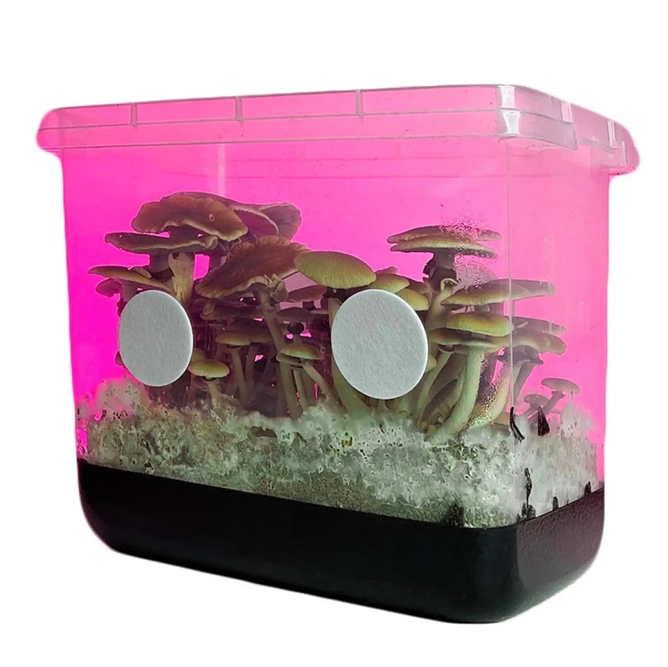 Boomr Bag Sterile Manure Substrate (16 Bags )