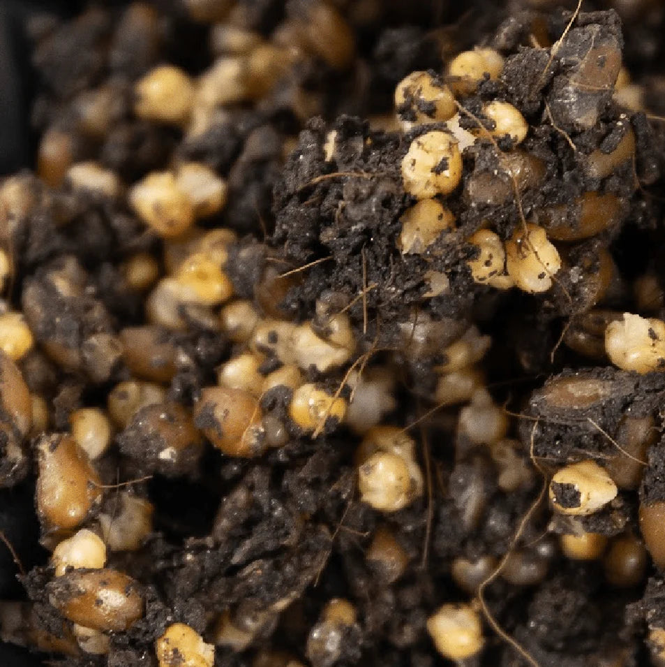 ShroomTek' All-In-One Mushroom Grow Bag (12 Bags )